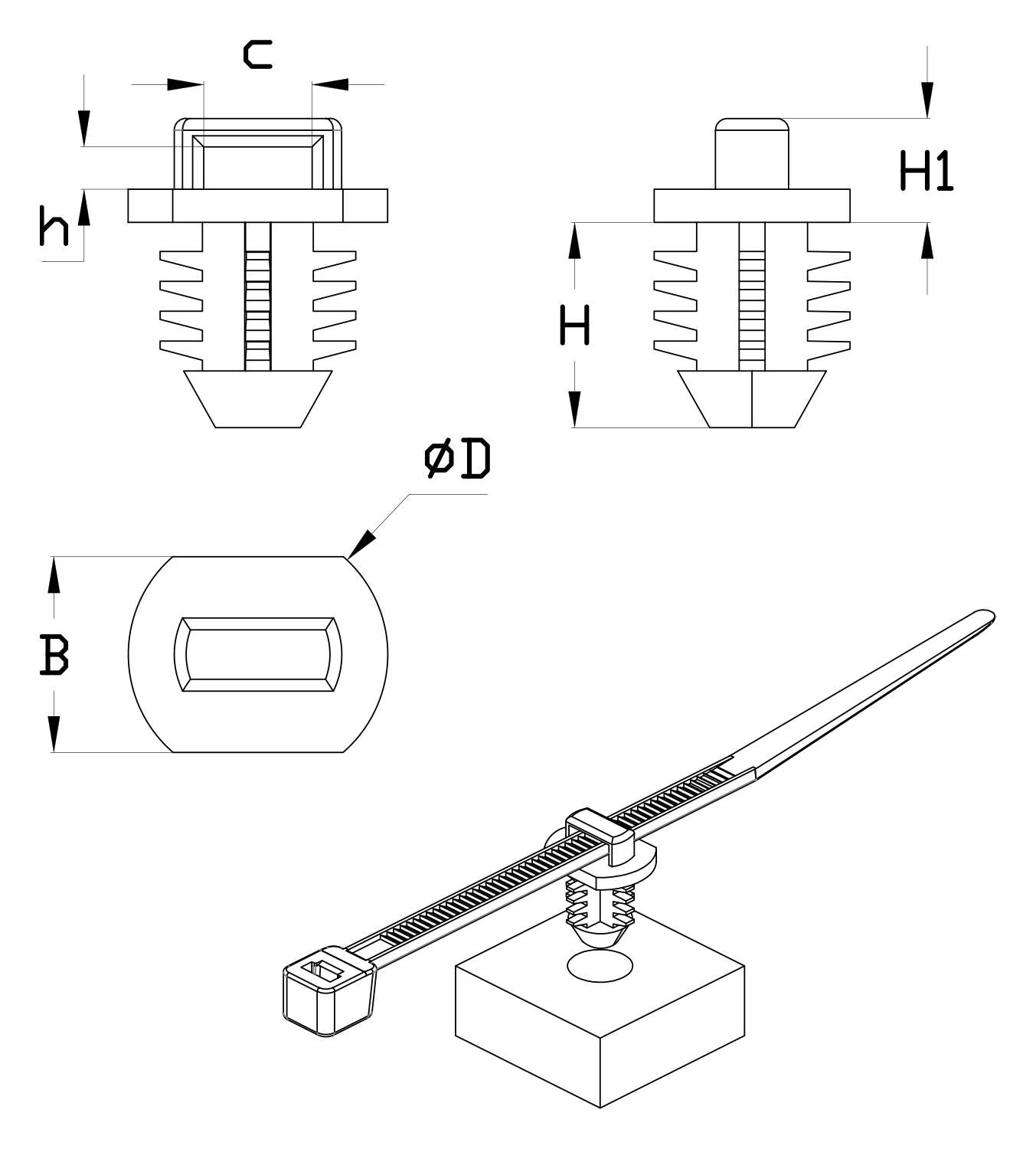 MKCD