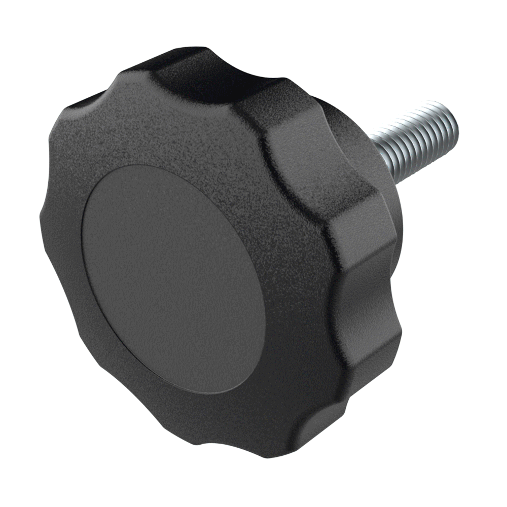 Bouton étoile mâle avec tête colorée Bouton étoile mâle avec tête colorée